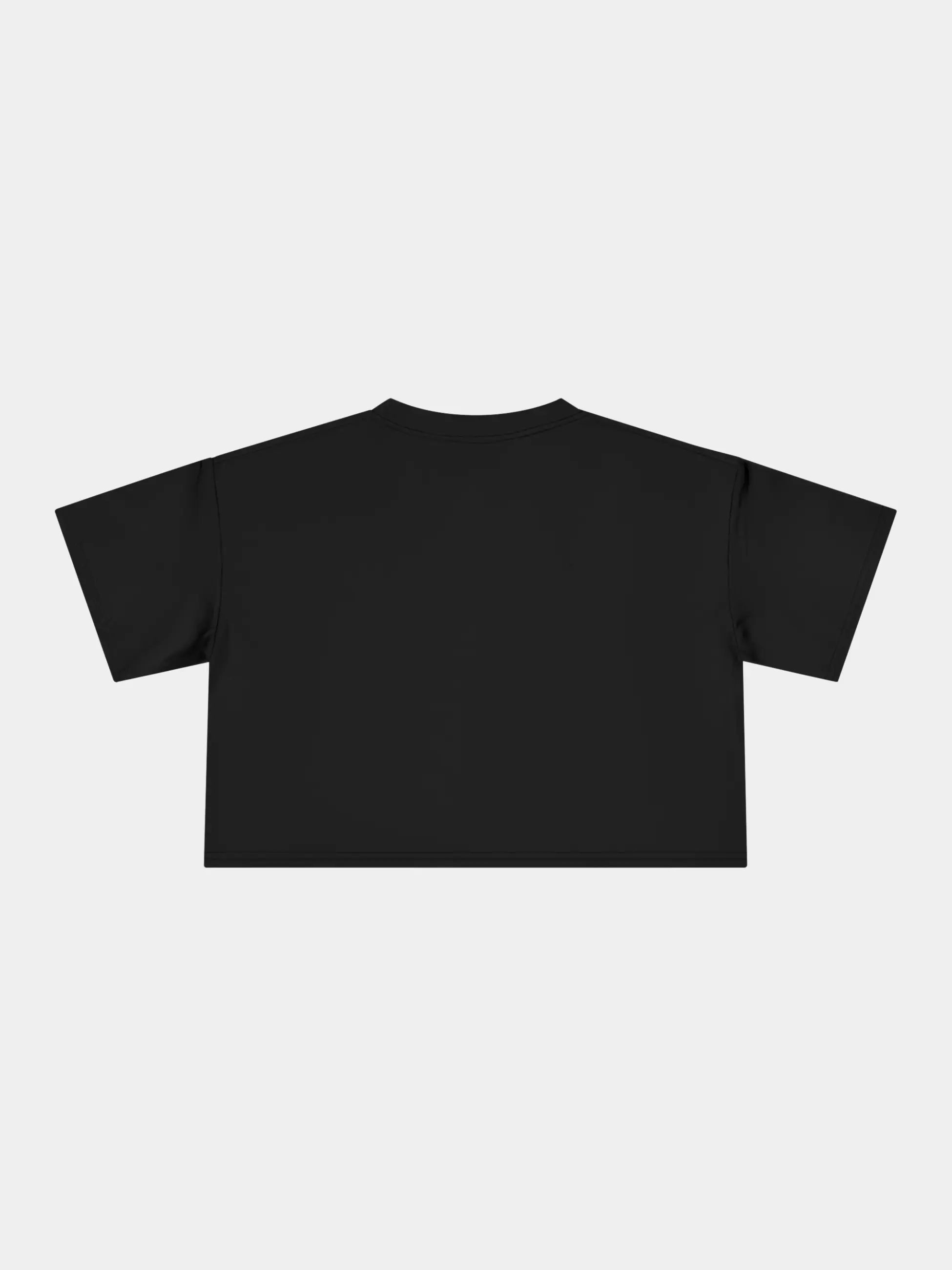 Slide Decks Cropped Tee