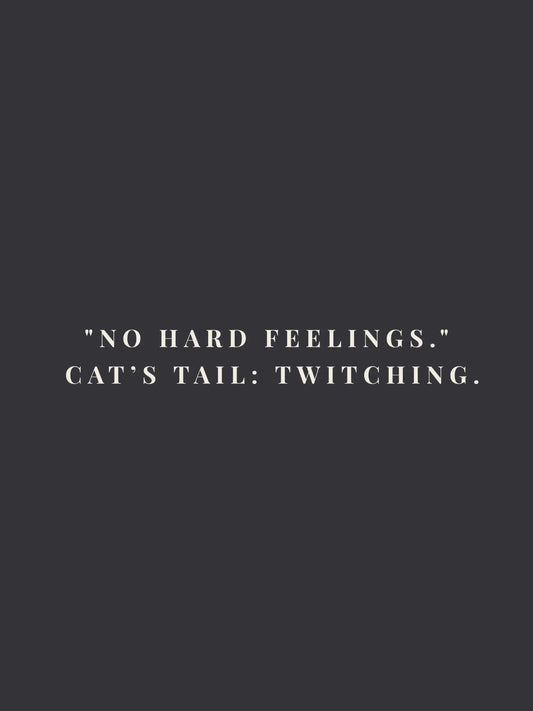 No Hard Feelings Crewneck Tee