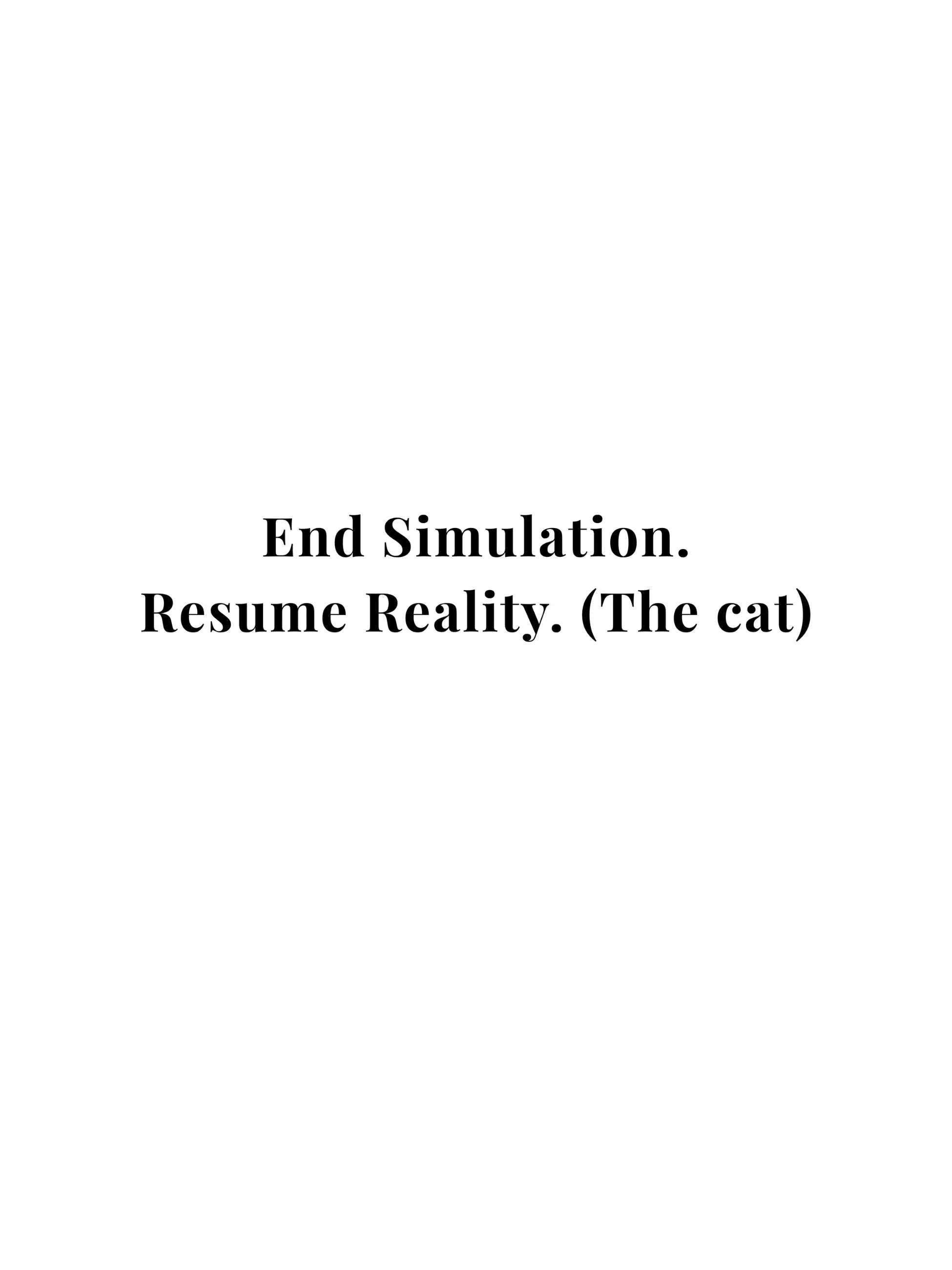 End Simulation Crewneck Tee