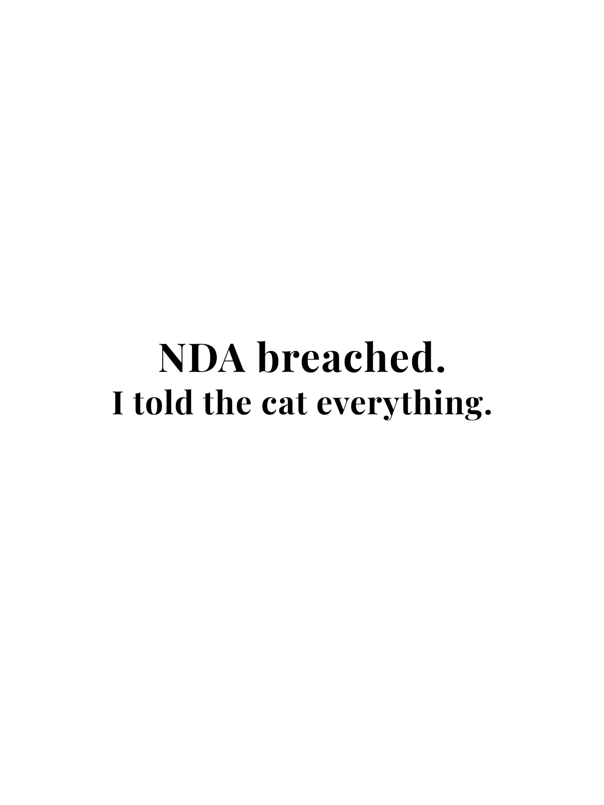 NDA Breached Crewneck Tee
