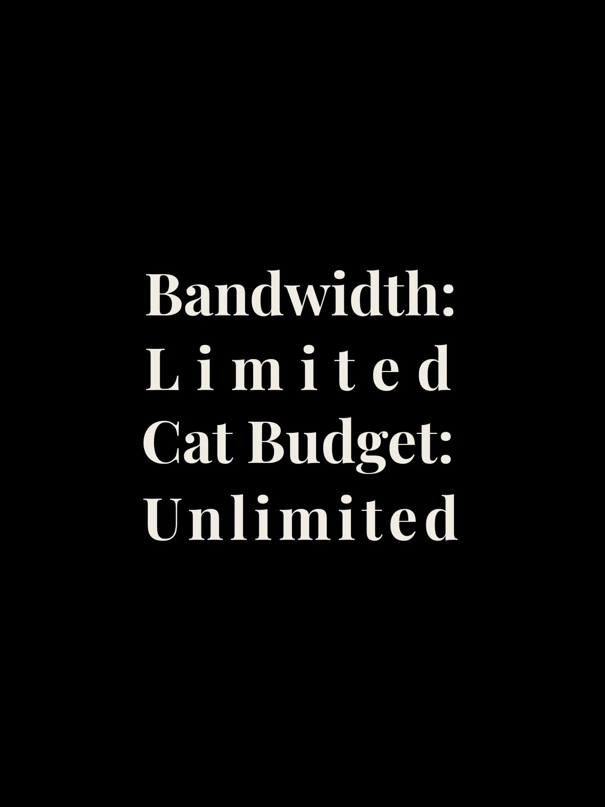 Bandwidth Limited Cropped Tee