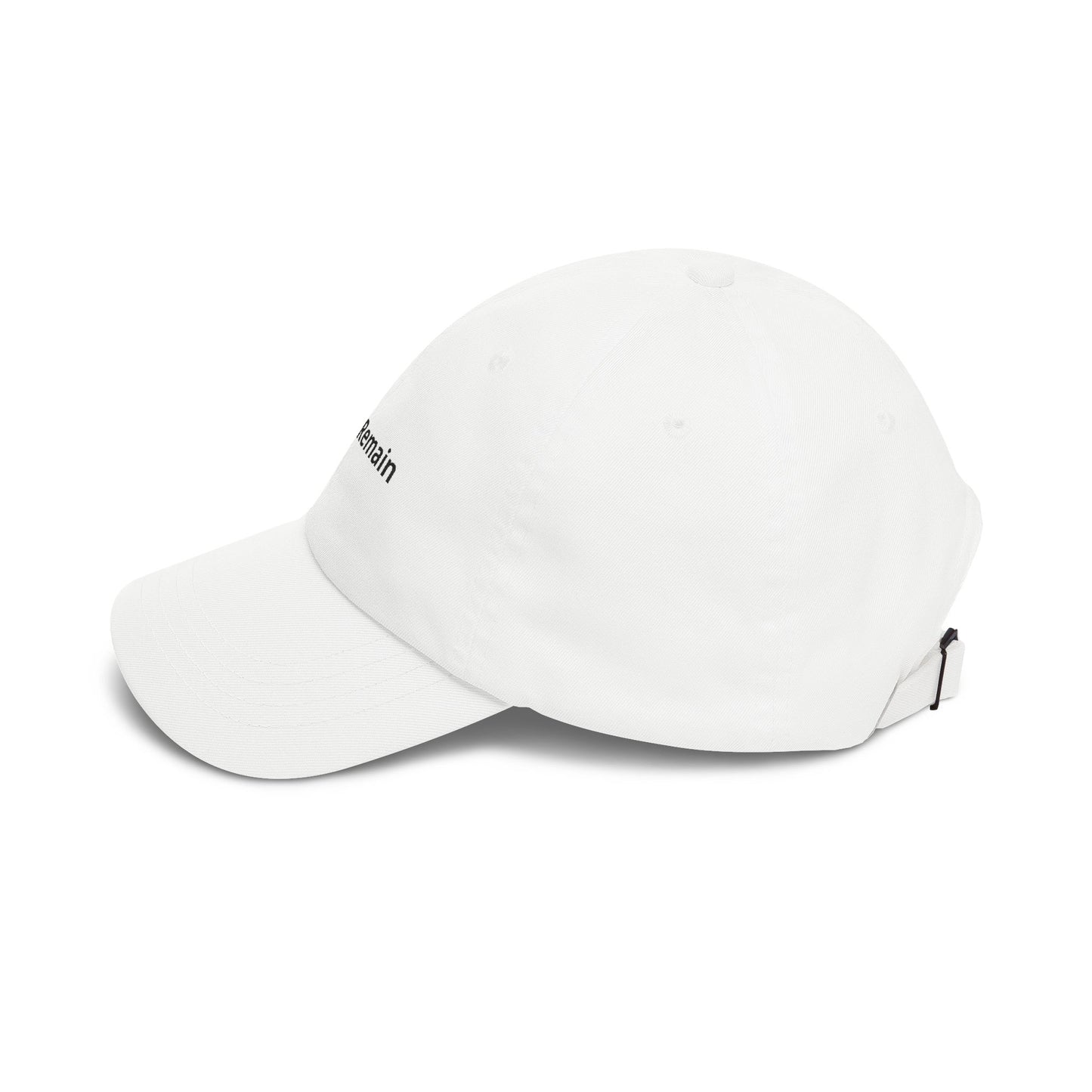 Facts Remain Cap