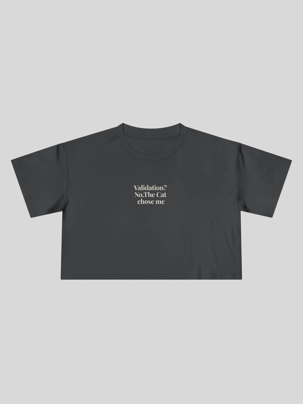 Validation Cropped Tee