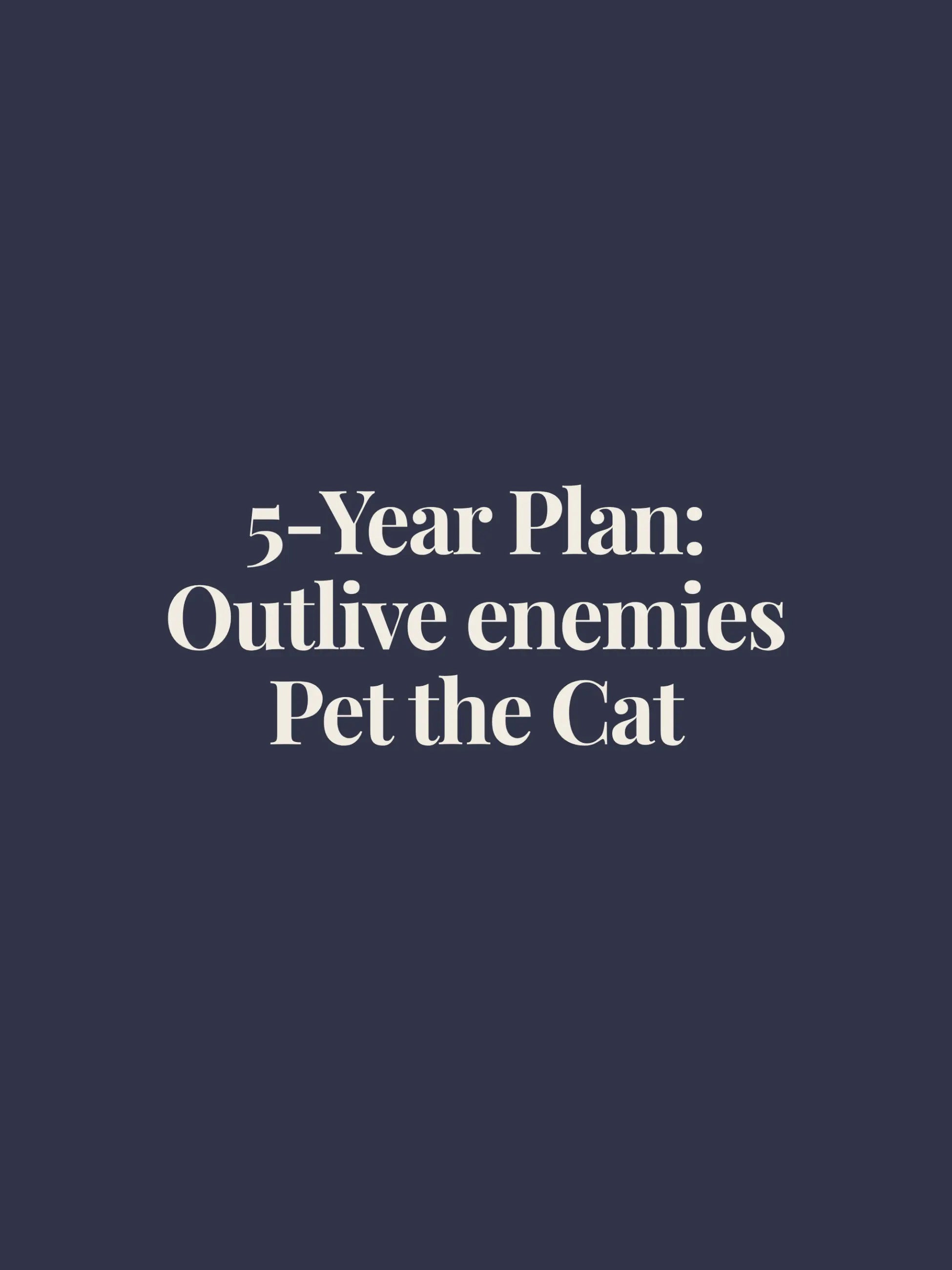 5 Year Plan Oversized Tee
