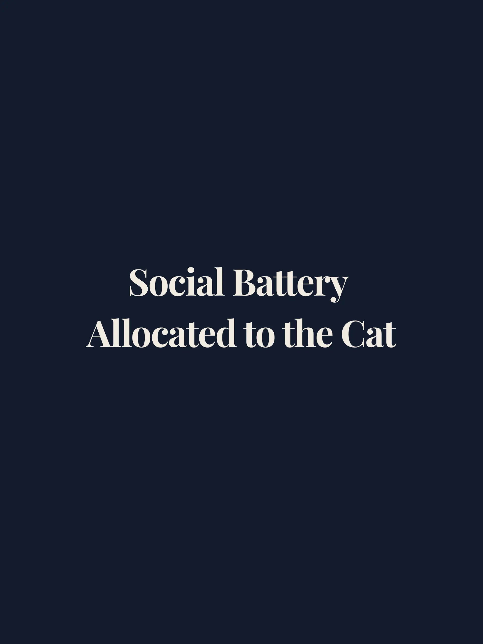 Social Battery Cropped Tee