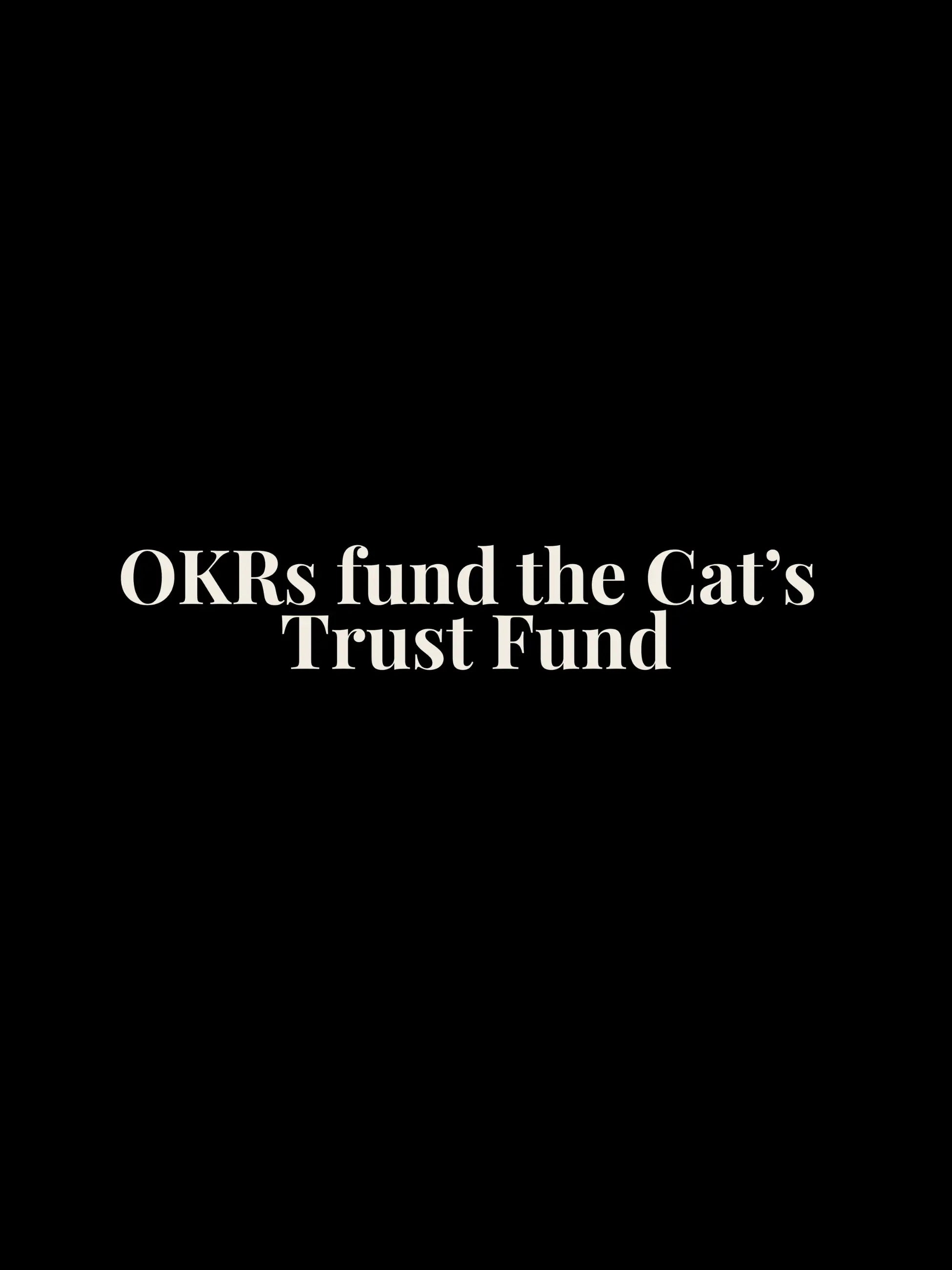 OKRs fund Oversized Tee