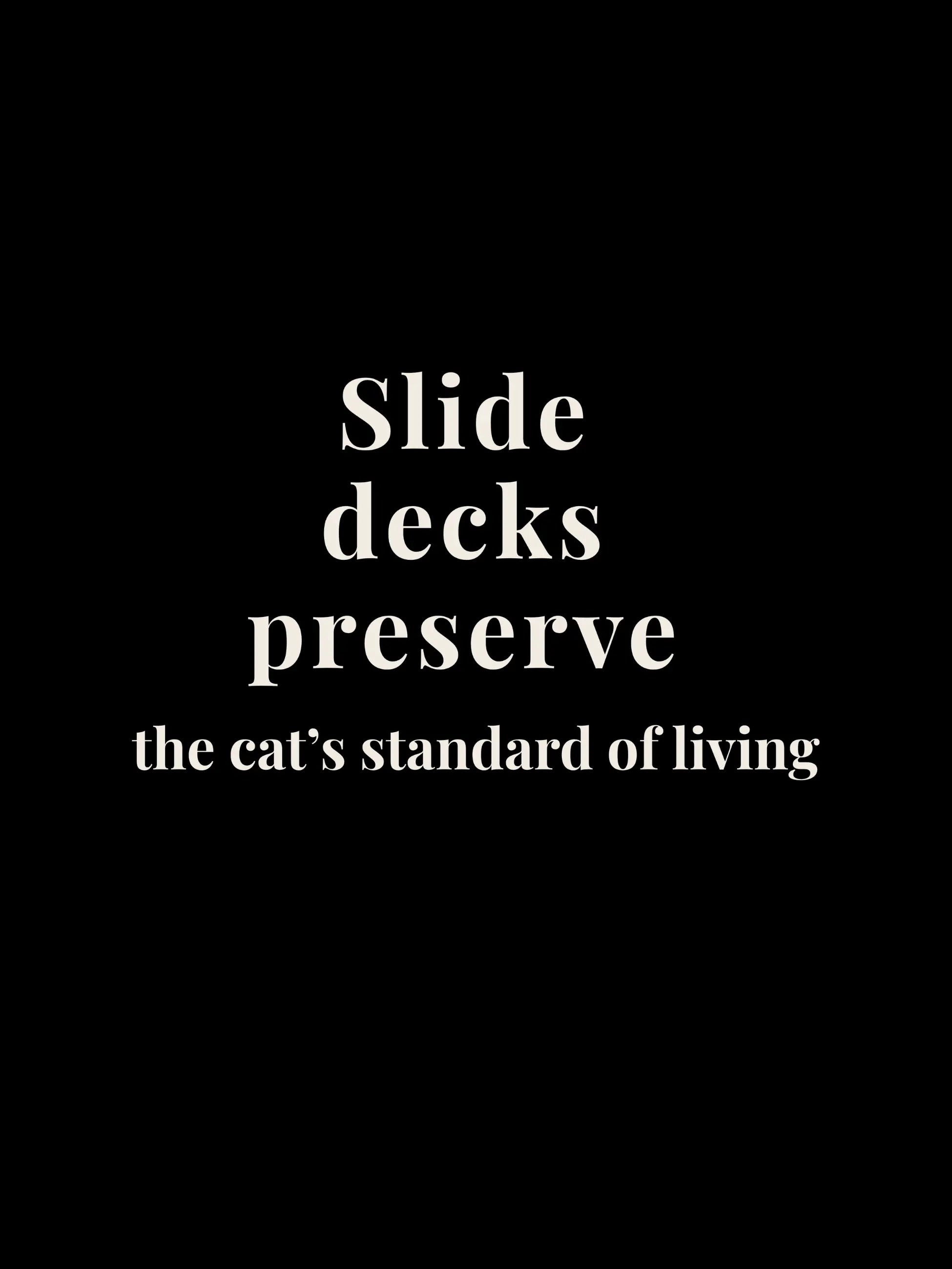 Slide Decks Oversized Tee