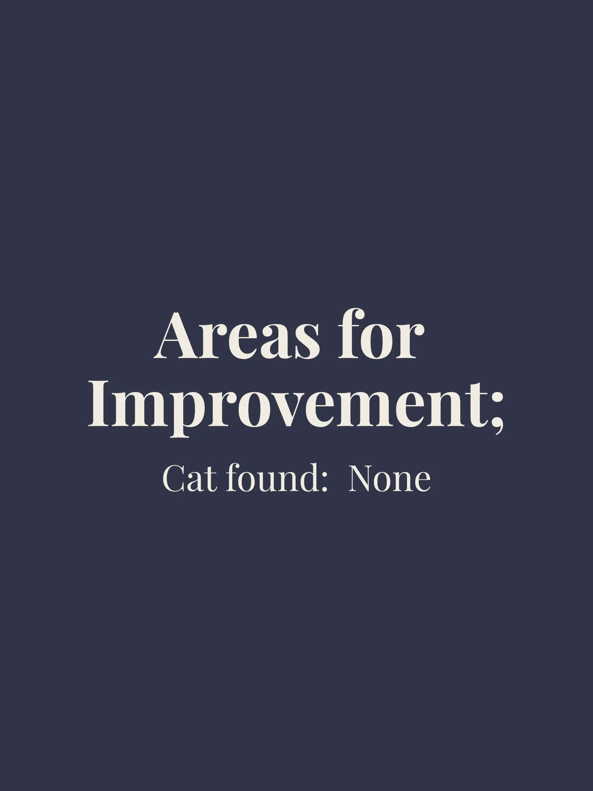 Areas for Improvement Oversized Tee