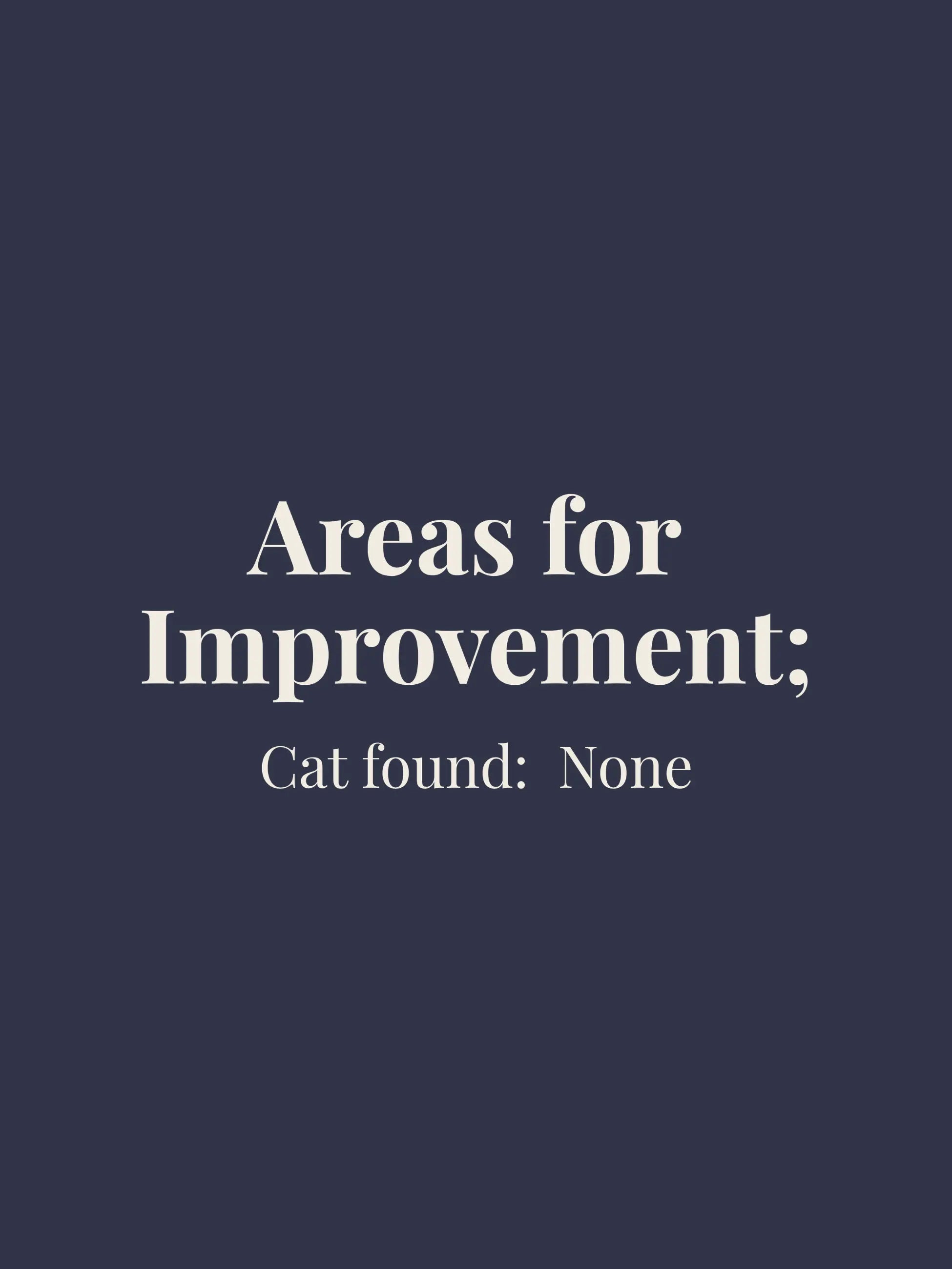 Areas for Improvement Oversized Tee
