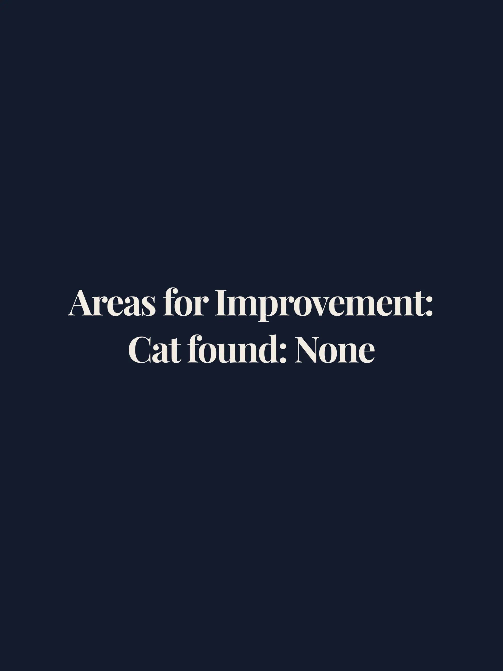 Areas for Improvement Crewneck Tee