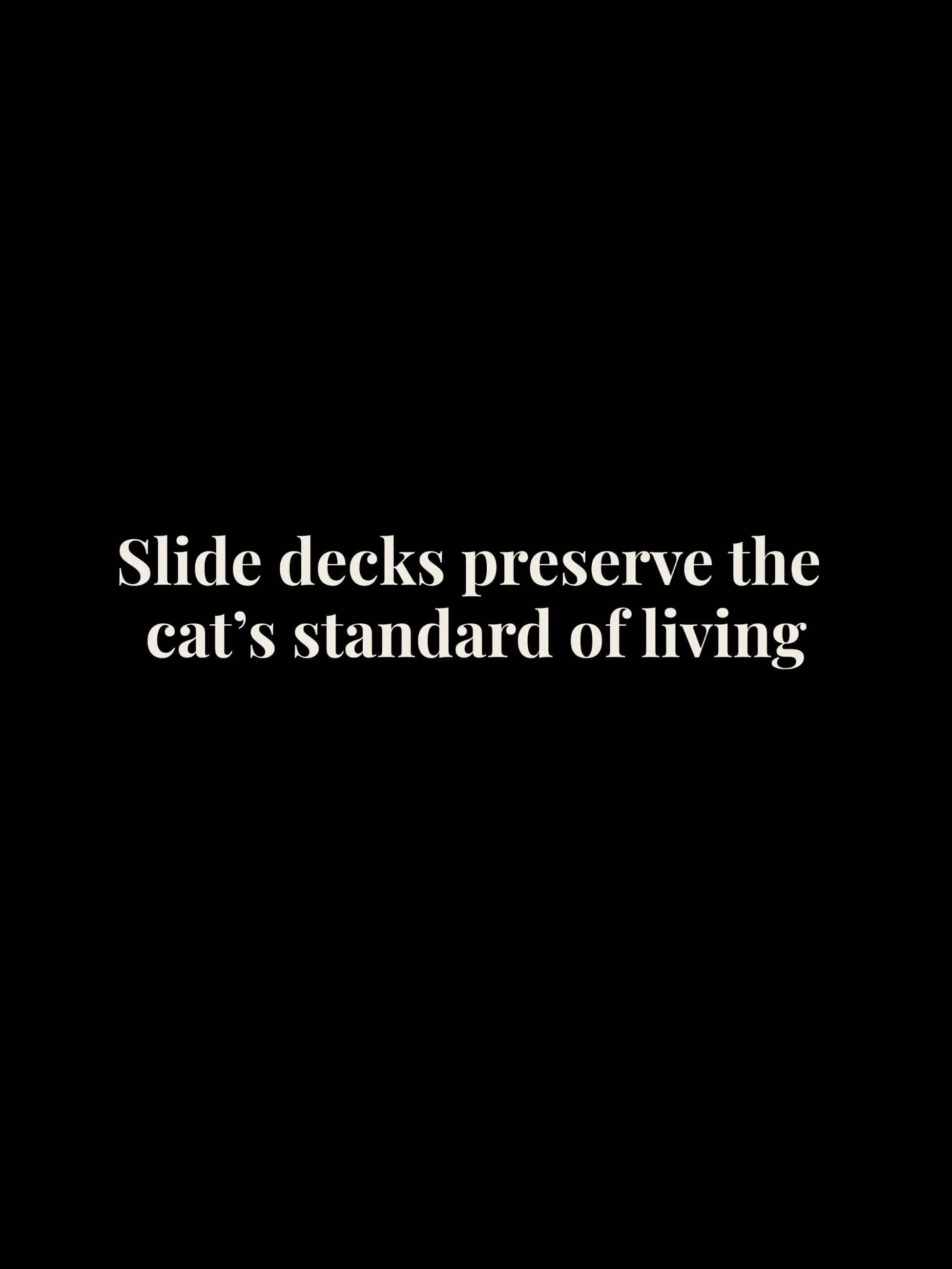 Slide Decks Cropped Tee