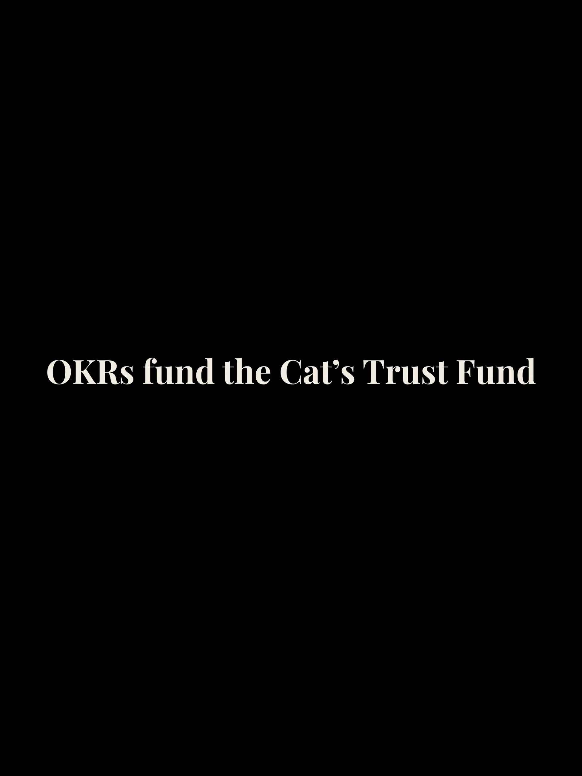 OKRs fund Cropped Tee